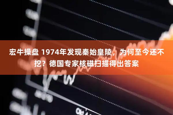 宏牛操盘 1974年发现秦始皇陵，为何至今还不挖？德国专家核磁扫描得出答案