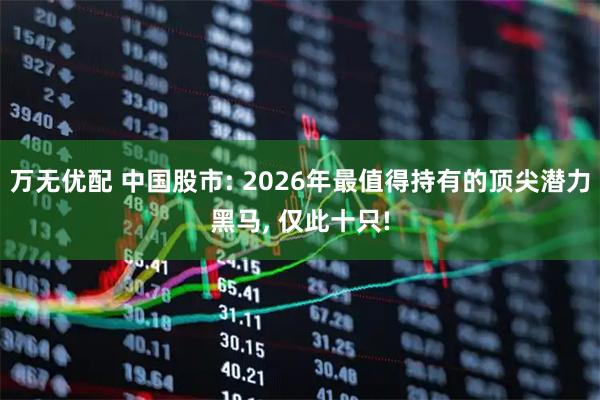 万无优配 中国股市: 2026年最值得持有的顶尖潜力黑马, 仅此十只!