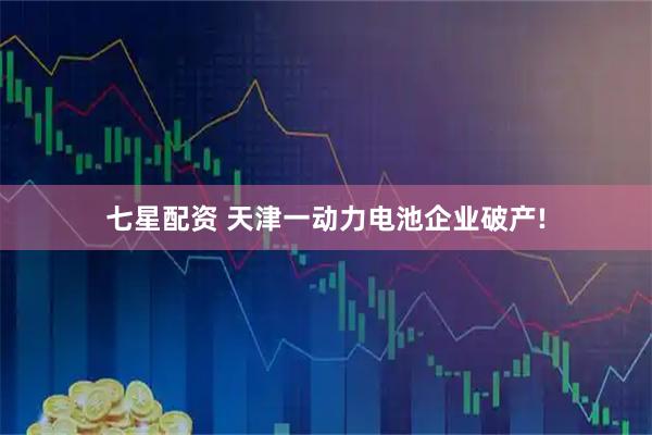 七星配资 天津一动力电池企业破产!