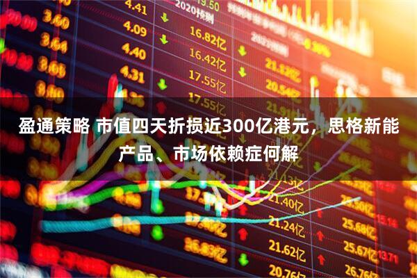 盈通策略 市值四天折损近300亿港元，思格新能产品、市场依赖症何解
