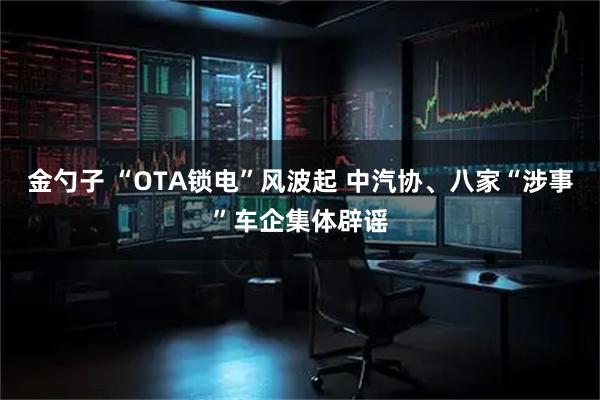 金勺子 “OTA锁电”风波起 中汽协、八家“涉事”车企集体辟谣