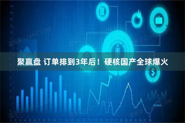 聚赢盘 订单排到3年后!硬核国产全球爆火