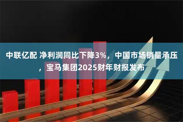 中联亿配 净利润同比下降3%，中国市场销量承压，宝马集团2025财年财报发布