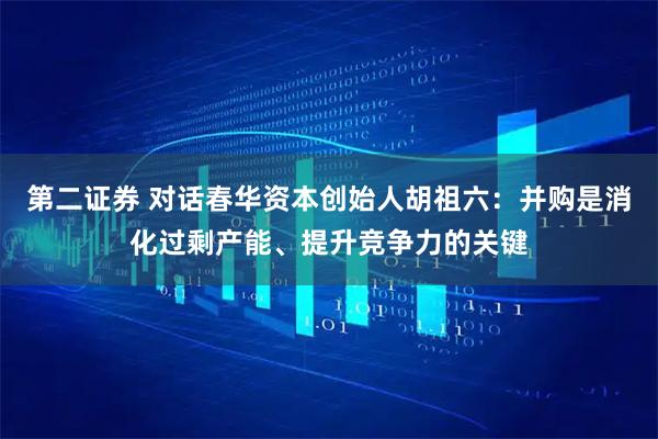 第二证券 对话春华资本创始人胡祖六：并购是消化过剩产能、提升竞争力的关键