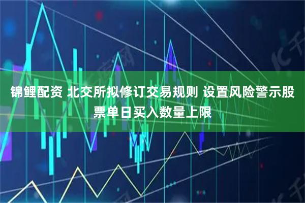 锦鲤配资 北交所拟修订交易规则 设置风险警示股票单日买入数量上限