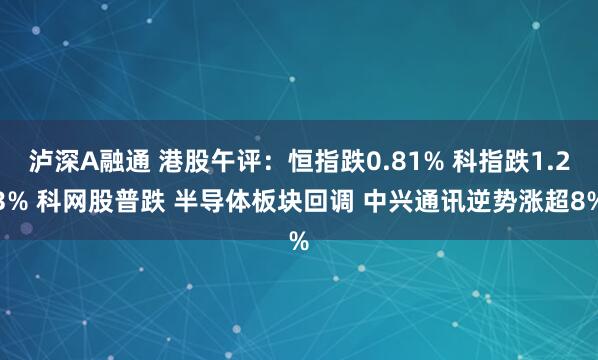 泸深A融通 港股午评：恒指跌0.81% 科指跌1.23% 科网股普跌 半导体板块回调 中兴通讯逆势涨超8%