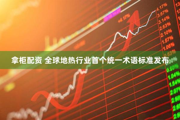拿柜配资 全球地热行业首个统一术语标准发布