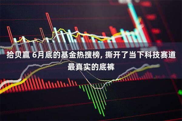 拾贝赢 6月底的基金热搜榜, 撕开了当下科技赛道最真实的底裤
