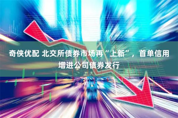 奇侠优配 北交所债券市场再“上新”，首单信用增进公司债券发行